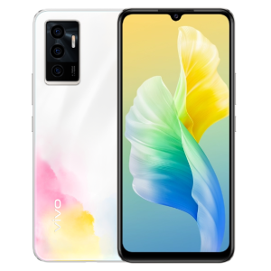 Vivo S10e